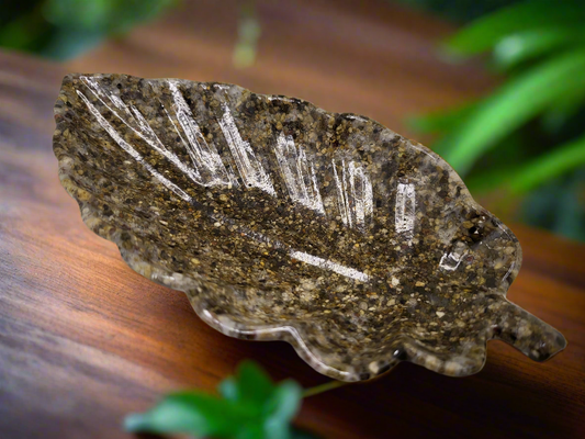 Leaf rock dish