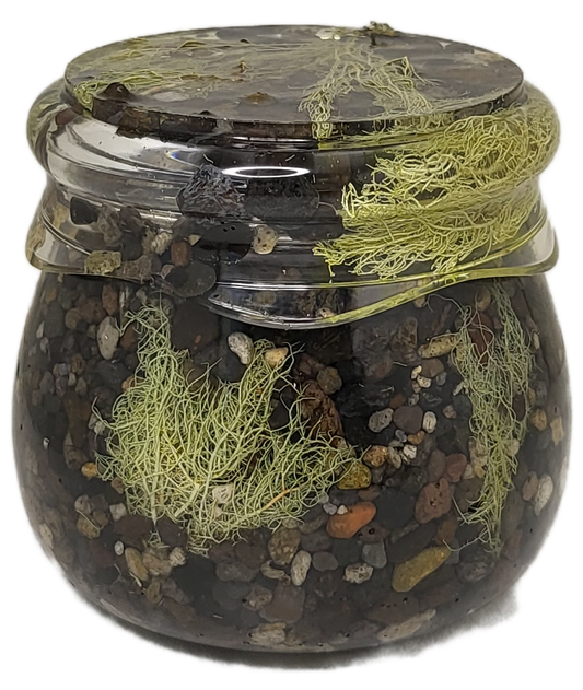 Rock pot with screw lid