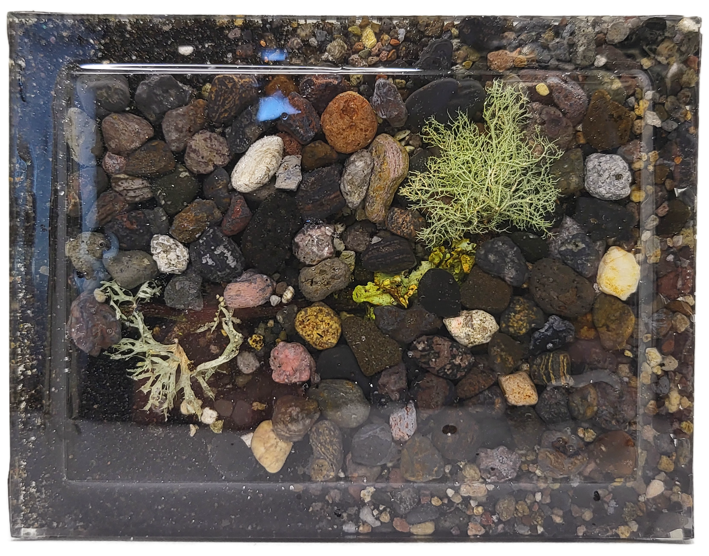 Rock pot with lid