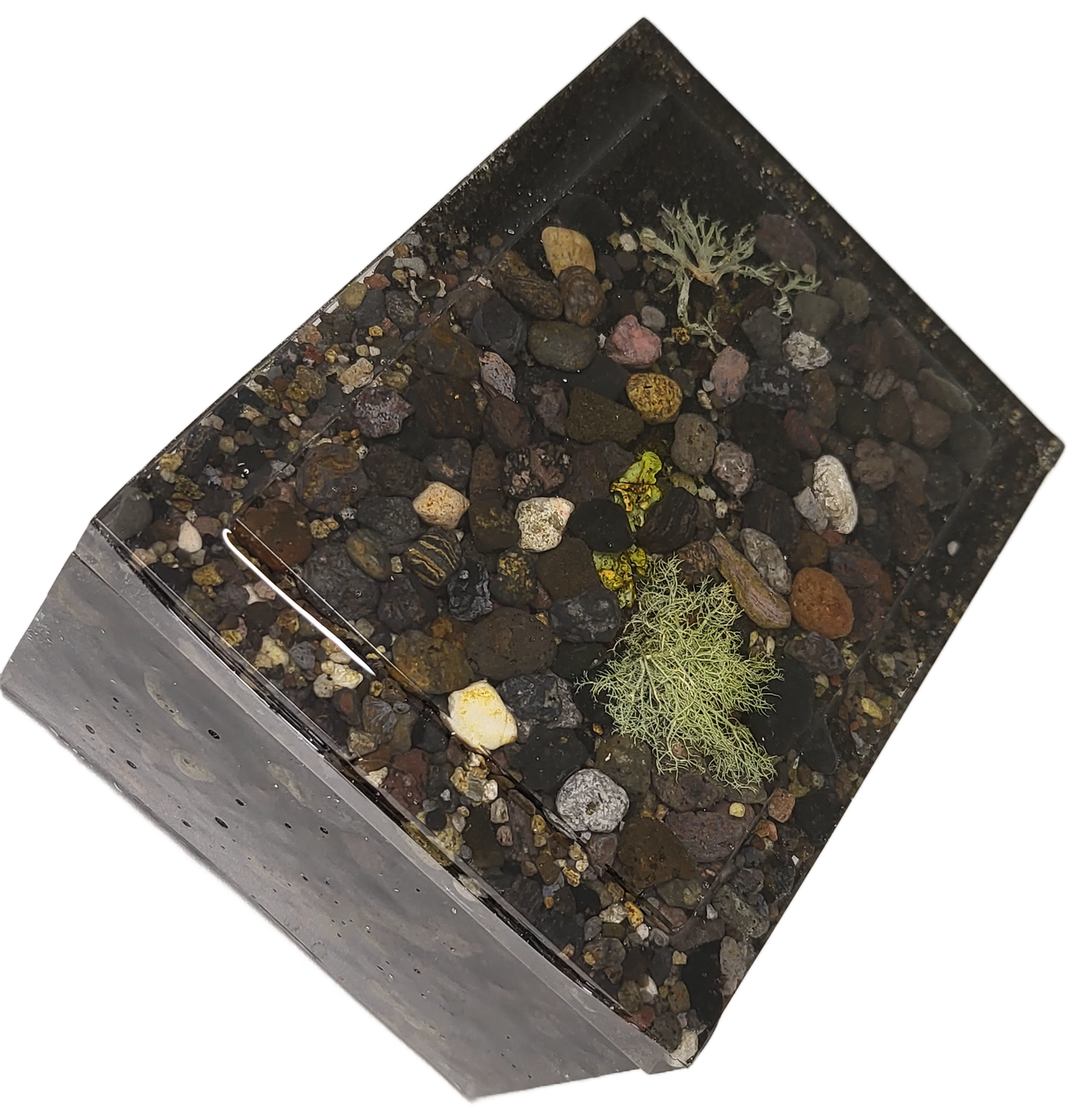 Rock pot with lid