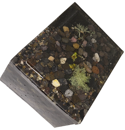 Rock pot with lid